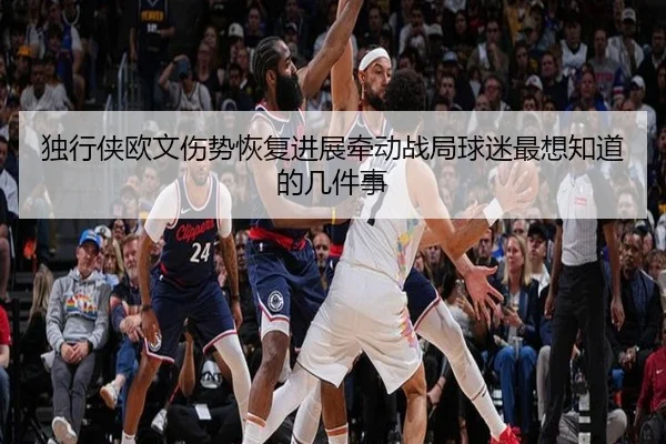 独行侠欧文伤势恢复进展牵动战局球迷最想知道的几件事